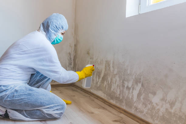 Licensed Mold Remediation service in North Middletown, NJ - 24 Hour Mold Removal