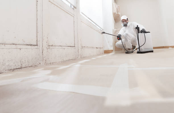 24/7 Emergency Mold Remediation experts in North Middletown, NJ