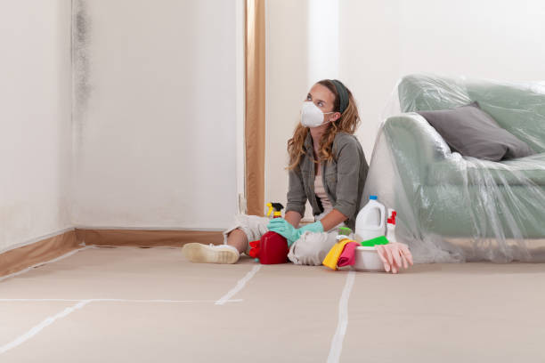Reliable Mold Remediation contractor in North Middletown, NJ by 24 Hour Mold Removal